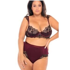 Oh La La Cheri Lingerie Set Eyelash Shelf Cup Bra | High Waisted Panties Size 2X